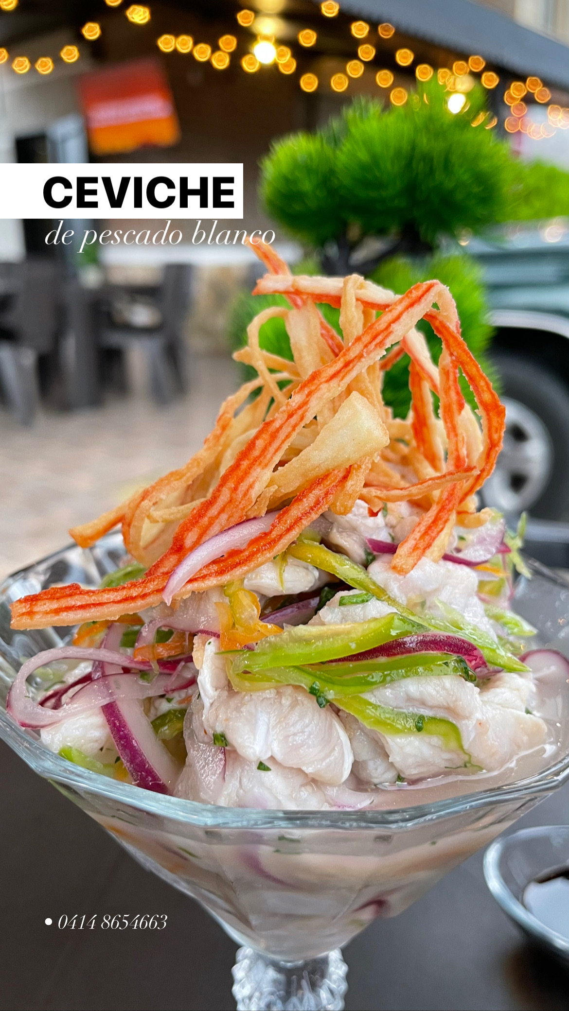Ceviche Tropical