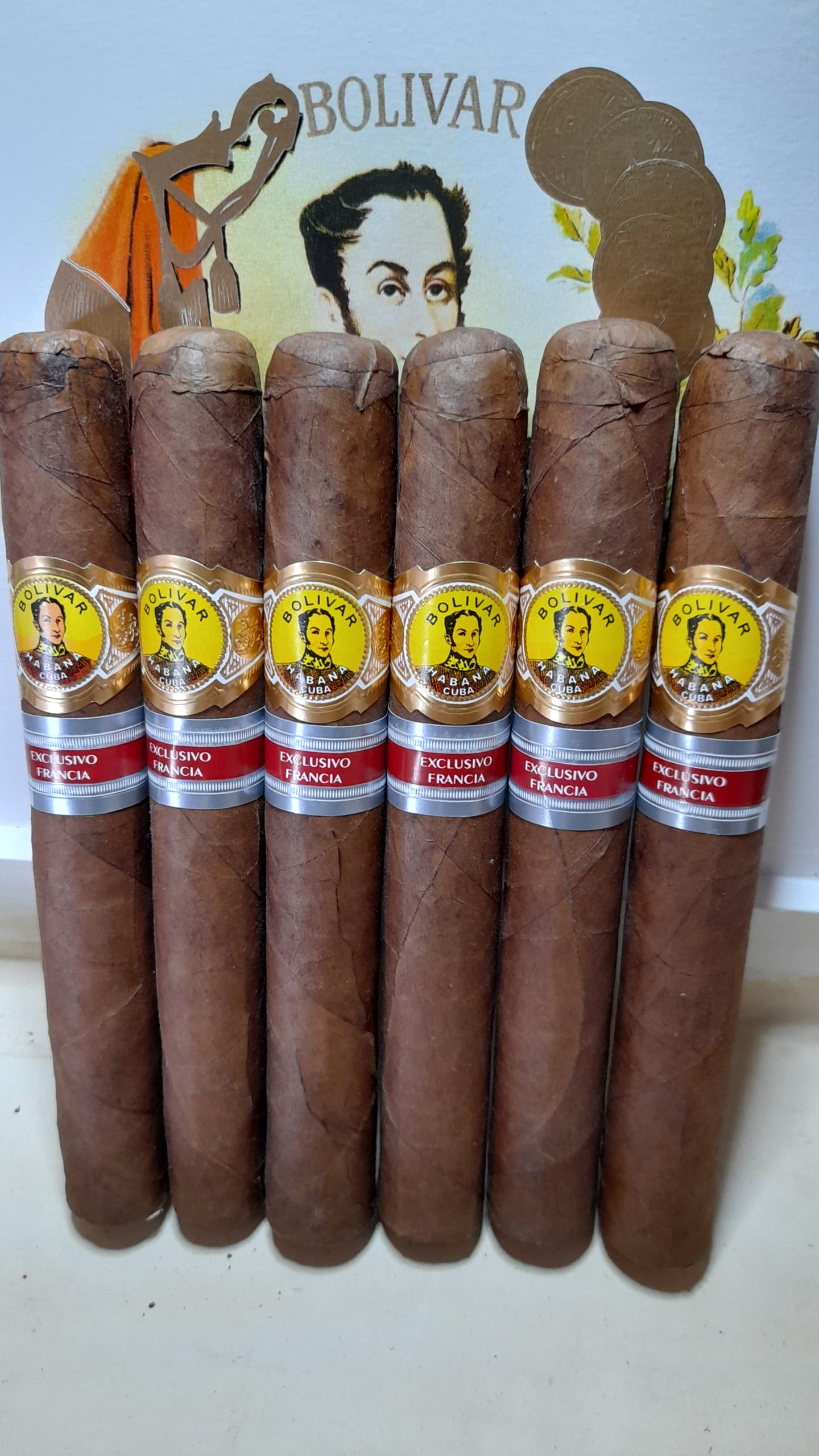 Simón Bolívar Exclusivo de Francia